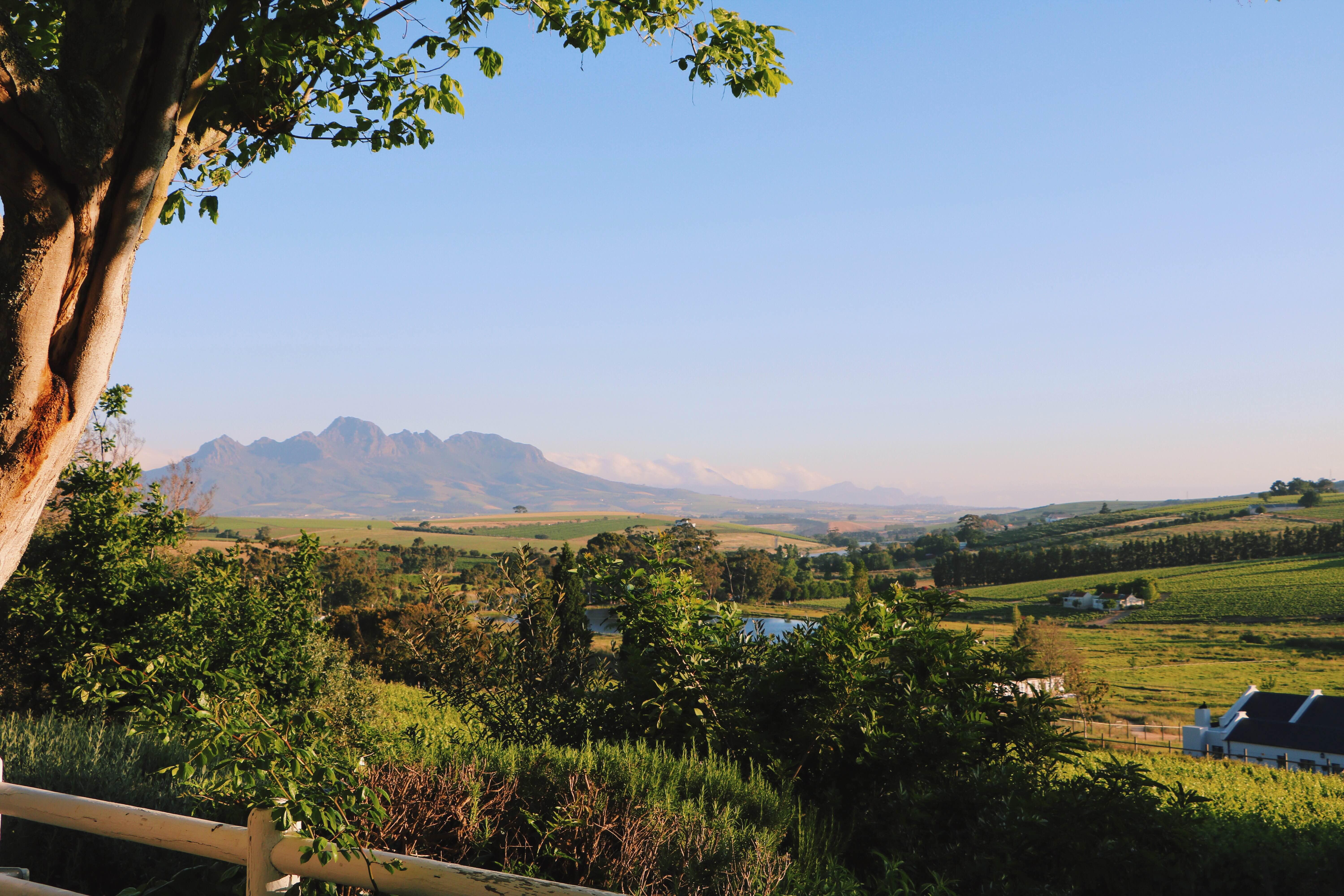 The Devon Valley Hotel Stellenbosch Exterior foto