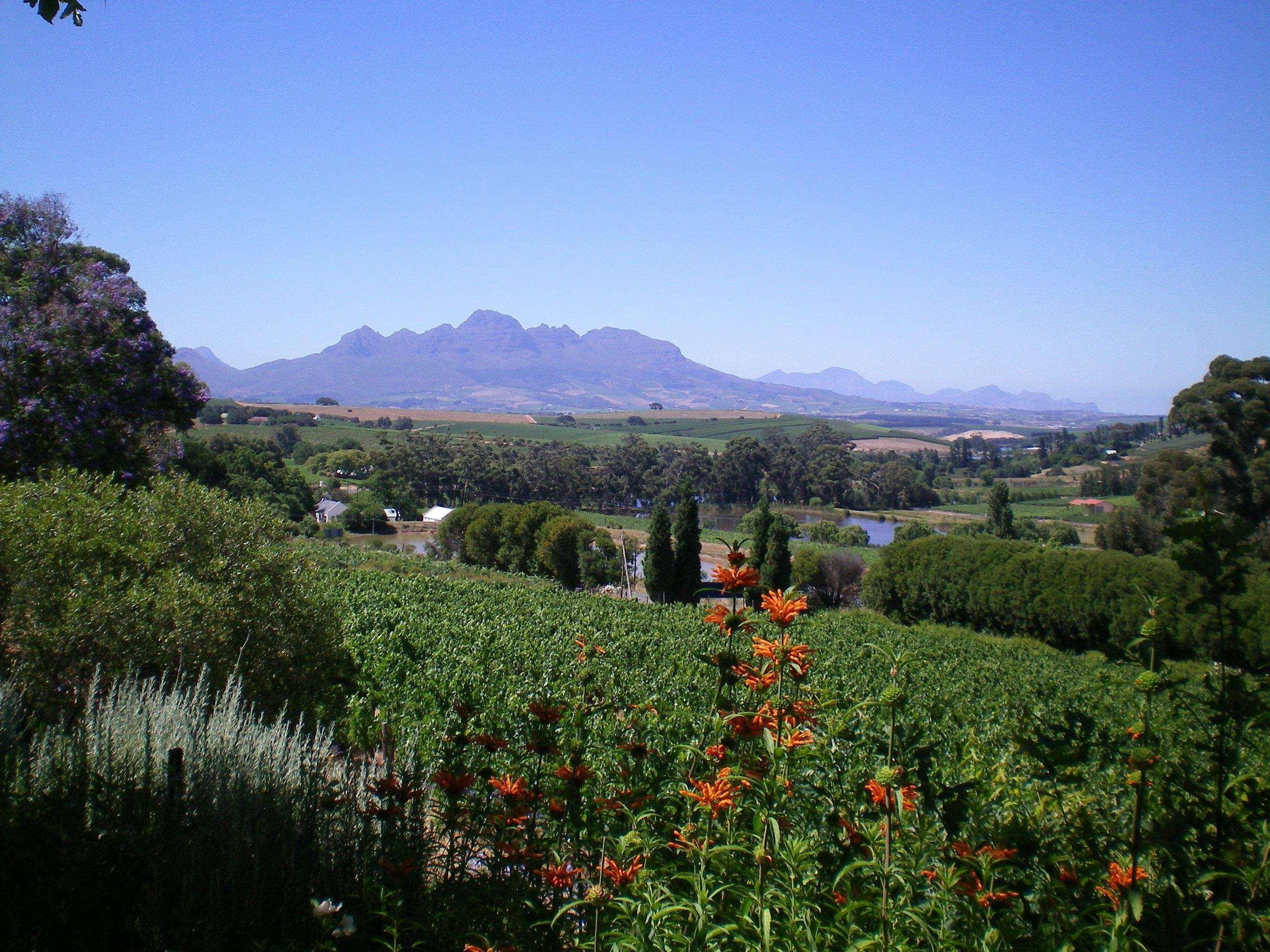 The Devon Valley Hotel Stellenbosch Exterior foto