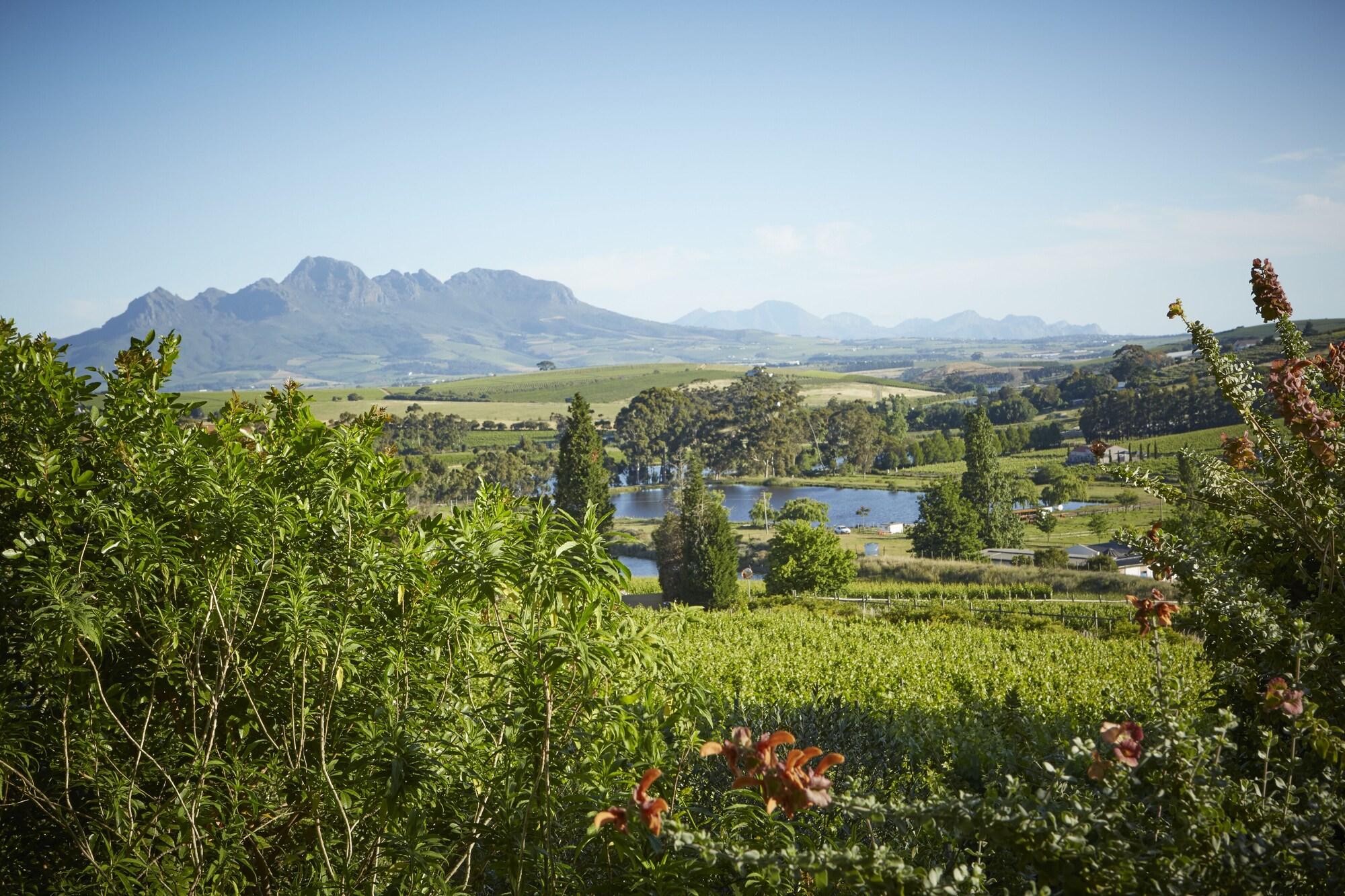 The Devon Valley Hotel Stellenbosch Exterior foto